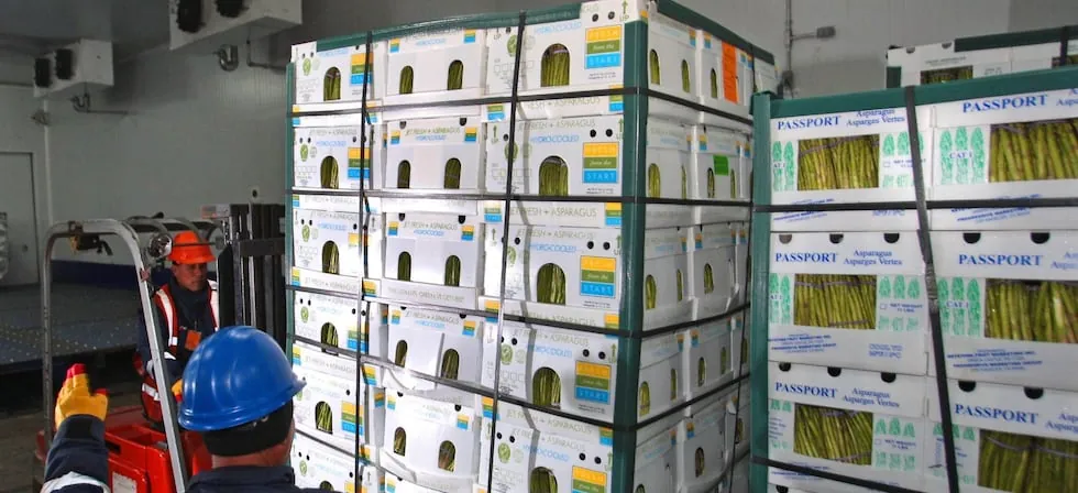 Agroexportaciones rozan los US$ 7,000 millones: ¿qué productos empujan el avance?