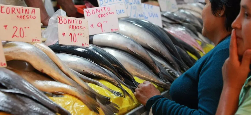 Inflación al alza: ¿qué pasará con los precios en próximos meses y ante golpe de El Niño?