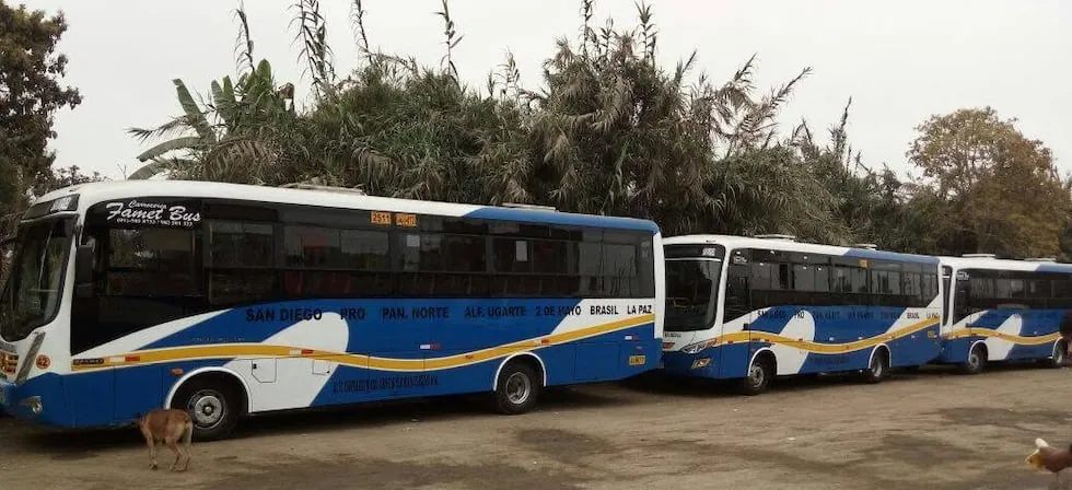 SMP: transportistas paralizan servicio tras asesinato de gerente de empresa Sagrado Corazón de Jesús