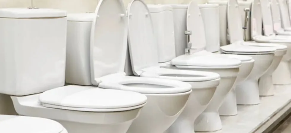 La Comisión de Dumping de Indecopi aplicó derechos antidumping a las importaciones de inodoros chinos por cinco años