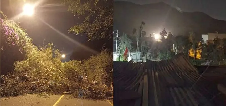 Senamhi emite alerta naranja por fuertes vientos en la costa: reportan caída de árboles y calaminas en Lima [VIDEO]