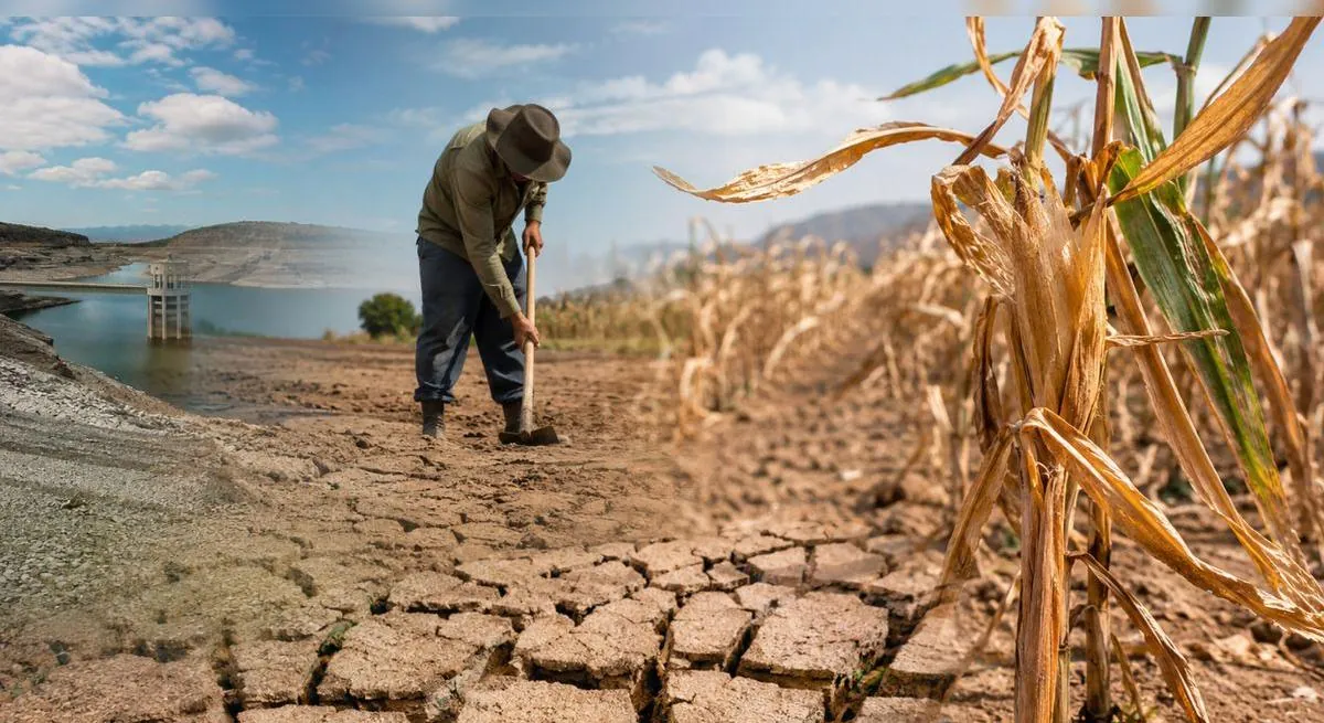 Déficit hídrico amenaza al agro: 607 distritos de 16 regiones quedan bajo estado de emergencia