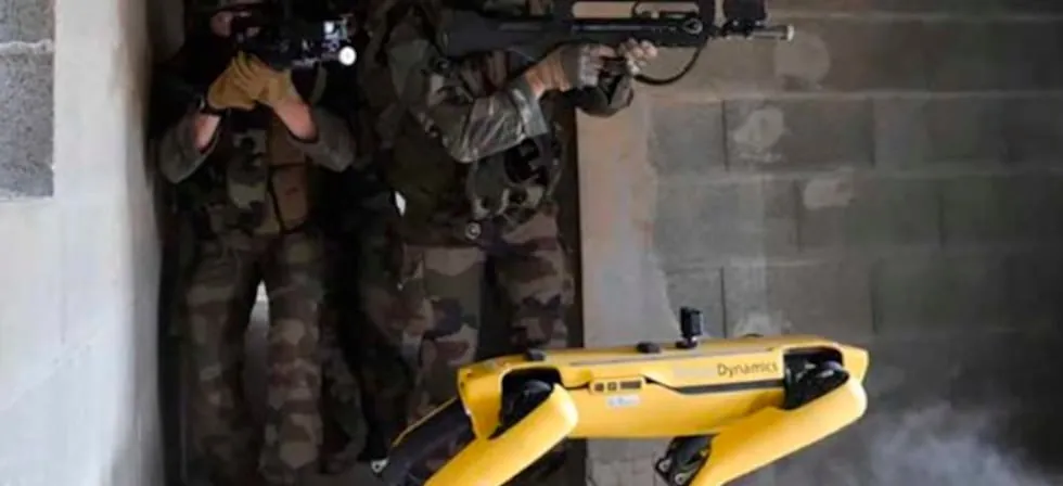 Perros robots para ofensiva antimigrantes en EE.UU.: el plan de US$ 2 millones