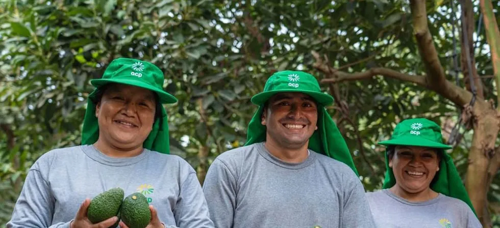 Adex: agroexportaciones peruanas experimentan desaceleración