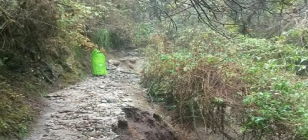 Machu Picchu: ingreso de turistas al Camino Inca se reanudará este sábado 5 de septiembre