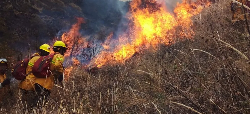Alerta roja en sierra norte y centro ante posible ocurrencia de incendios forestales