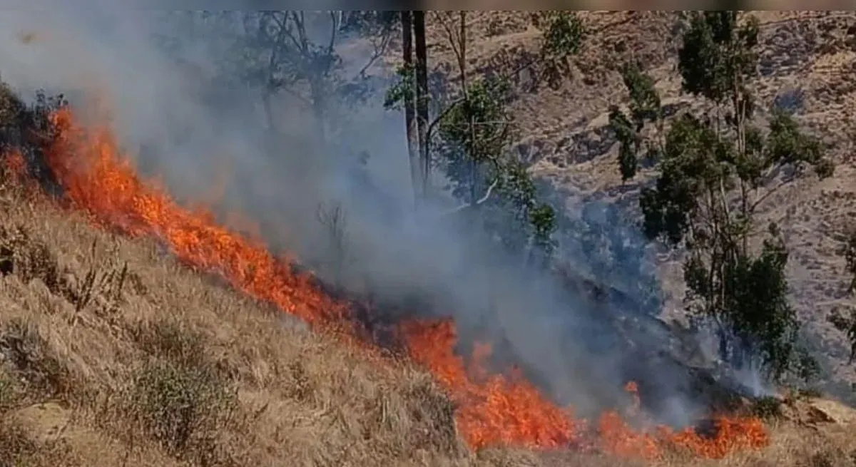 Incendio forestal destruye casa del alcalde de Chupamarca y deja cuatro heridos en Huancavelica