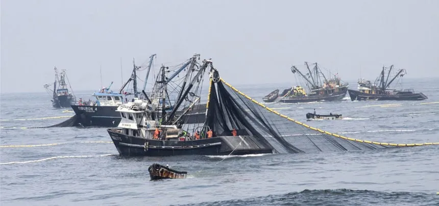 Ministerio de la Producción declara en emergencia la pesca y la acuicultura por efectos del Niño Costero