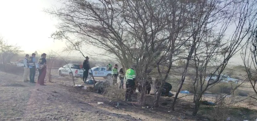 Sobrevuelo fatal en Nasca: lo que se sabe del accidente de una avioneta que deja 11 turistas y 2 tripulantes muertos