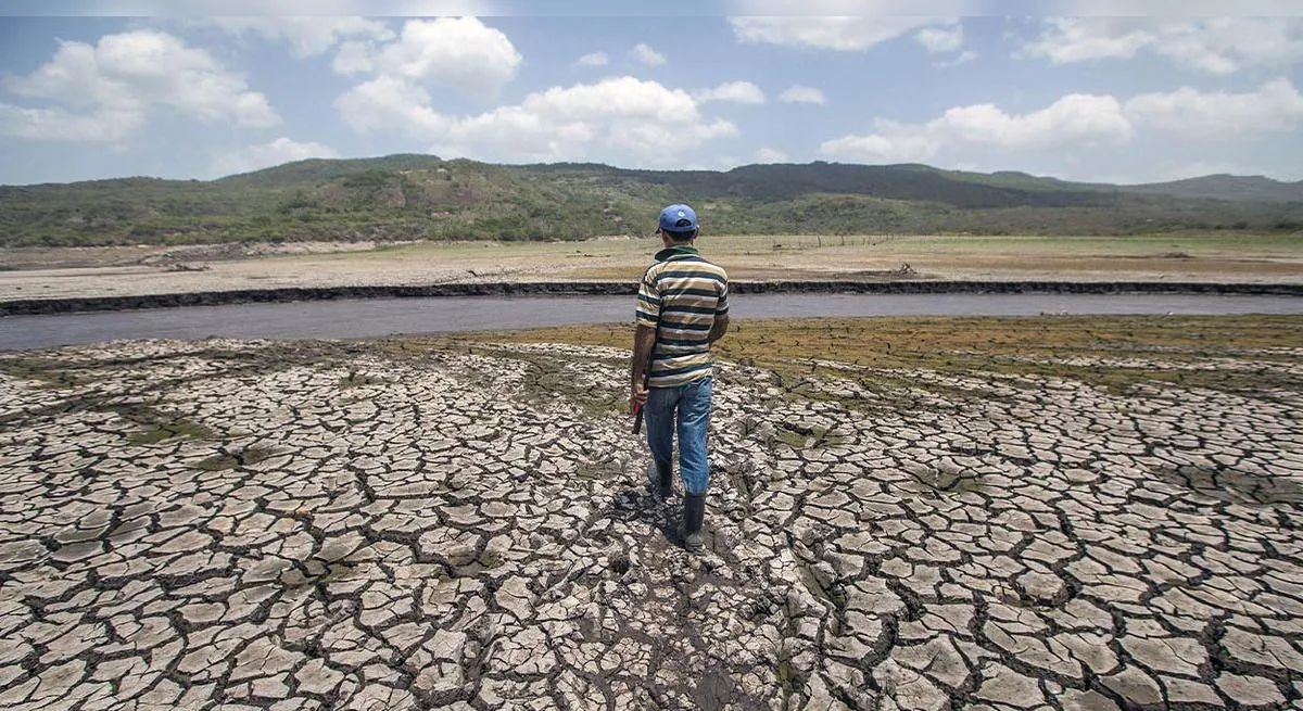 El fenómeno El Niño podría provocar inseguridad alimentaria para 16 millones de personas en América Latina, advierte el PMA