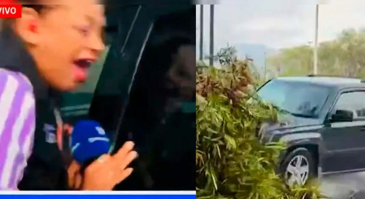 Atropellan a reportera y camarógrafo en pleno programa EN VIVO y genera conmoción: terrible hecho quedó grabado en video